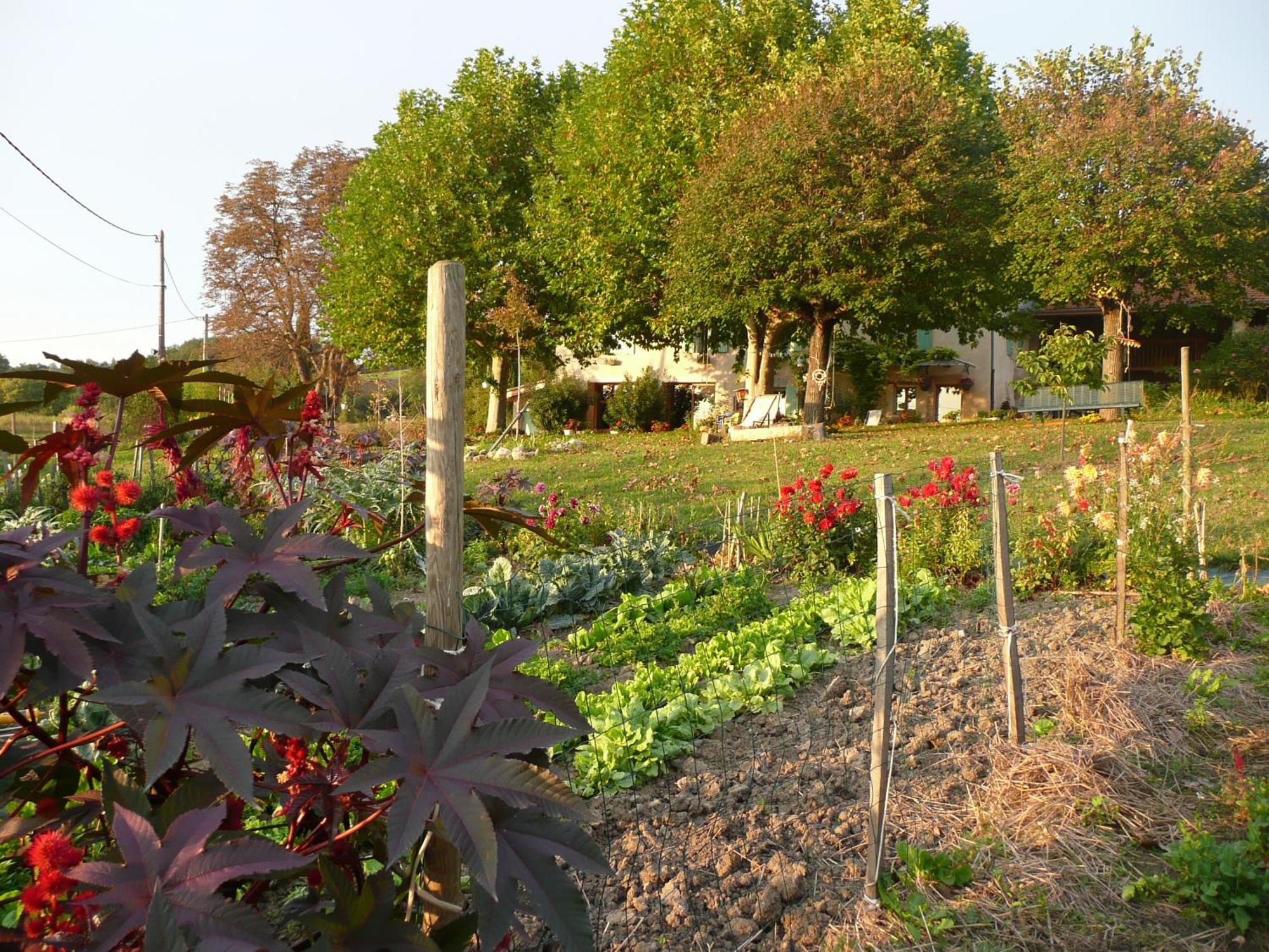 La Source, Vegetarian Guest House 沙伯伊 外观 照片